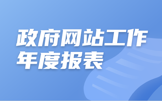 政府網(wǎng)站工作年度報(bào)表